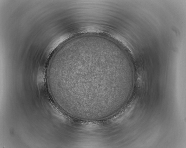 X0000111850874200907301108