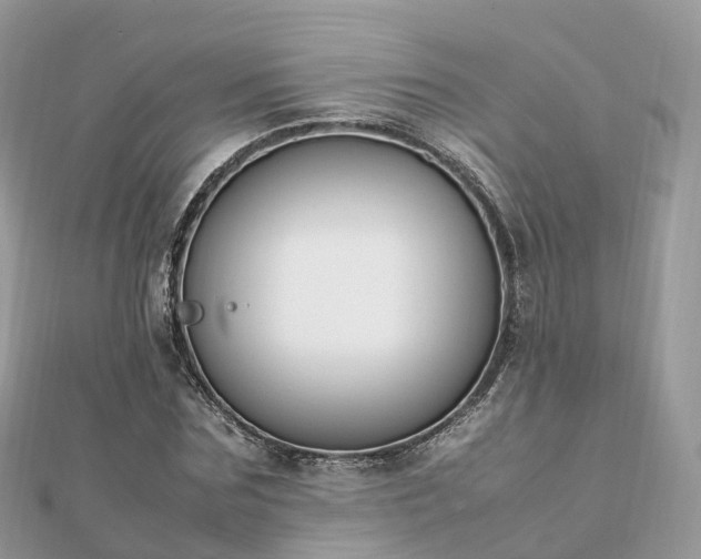 X0000111850875200907301108