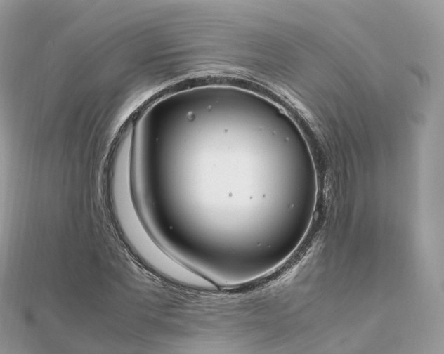 X0000111850877200907301108