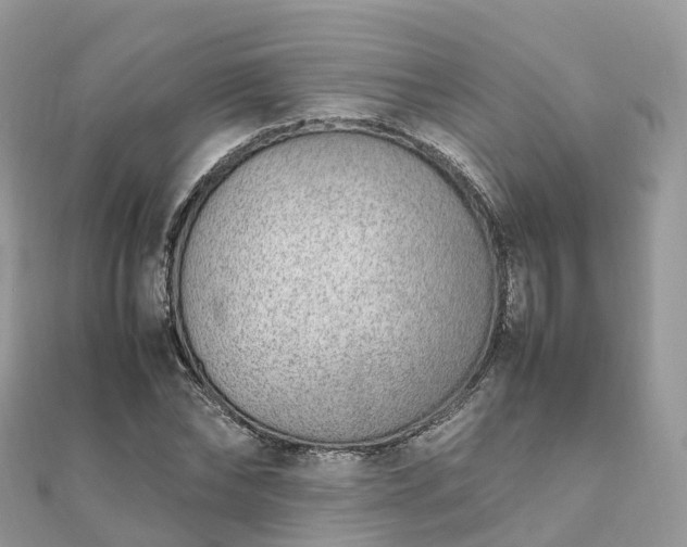 X0000111850878200907301108