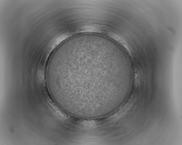 X0000111850882200907301108
