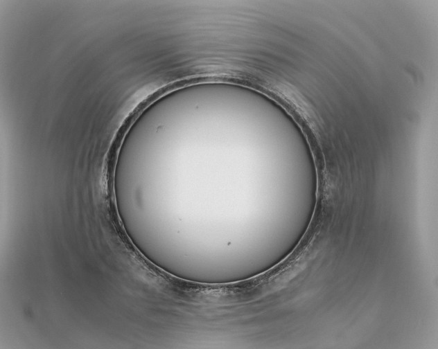 X0000111850883200907301108