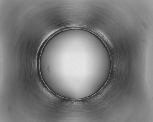 X0000111850884200907301108