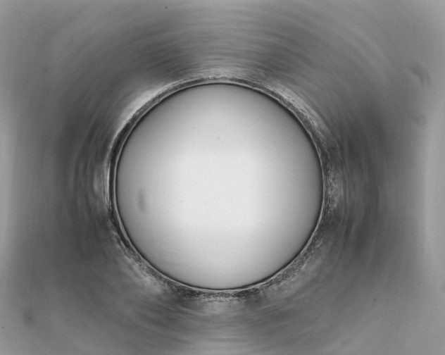 X0000111850886200907301108