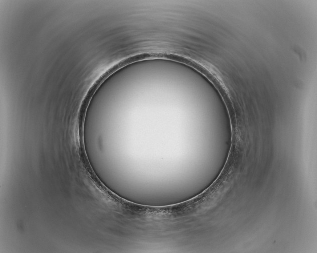 X0000111850887200907301108