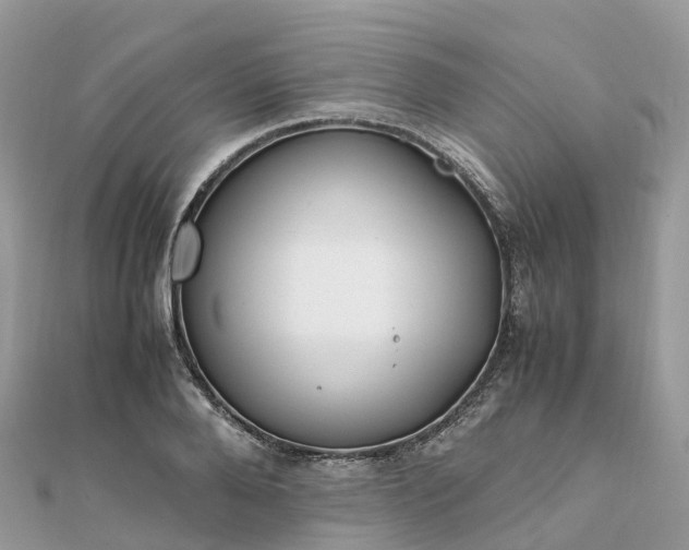 X0000111850888200907301108
