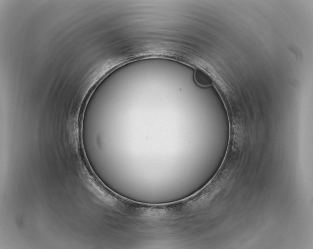 X0000111850890200907301108