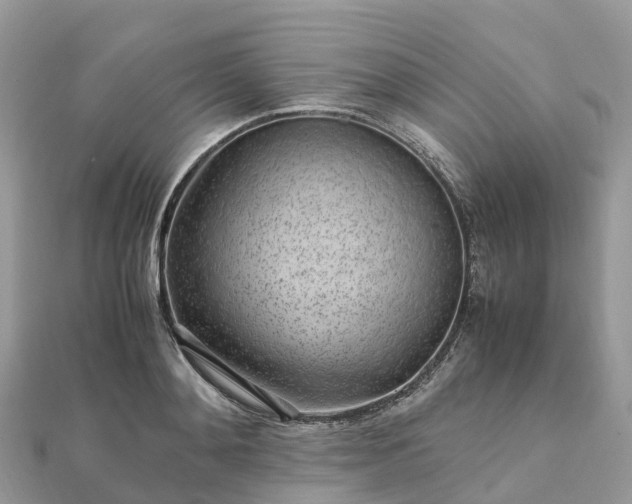 X0000111850892200907301108