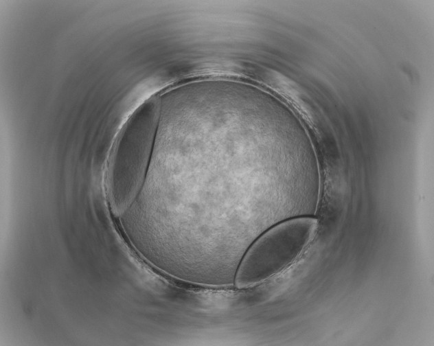 X0000111850893200907301108