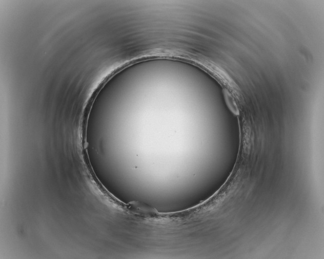 X0000111850896200907301108