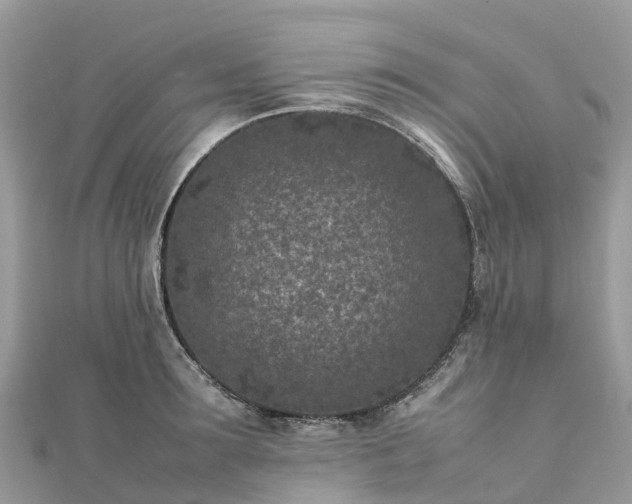 X0000111850899200907301108