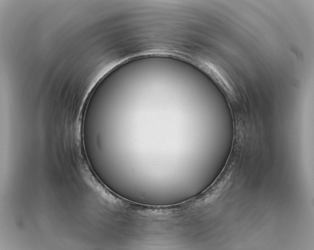 X0000111850900200907301108