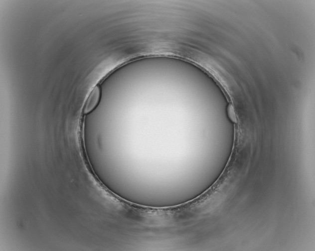 X0000111850901200907301108