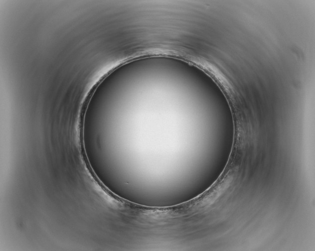 X0000111850902200907301108