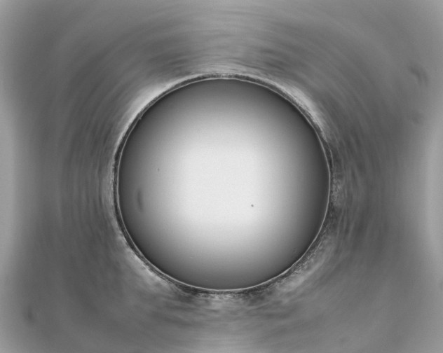 X0000111850903200907301108