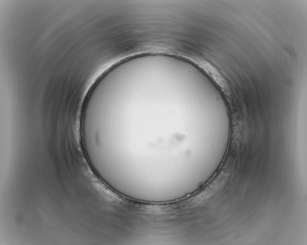 X0000111850904200907301108