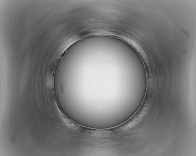 X0000111850905200907301108