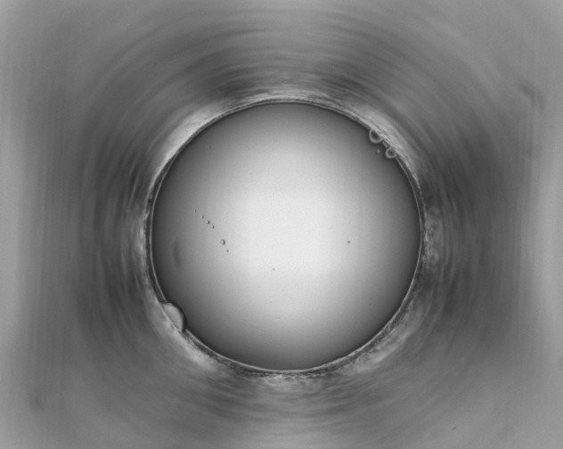 X0000111850906200907301108