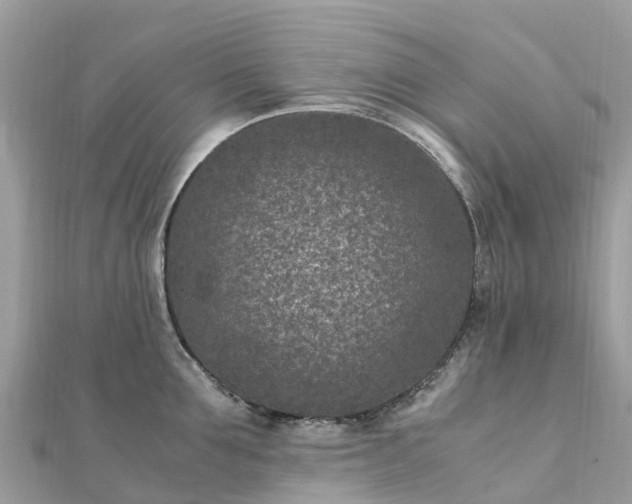 X0000111850907200907301108