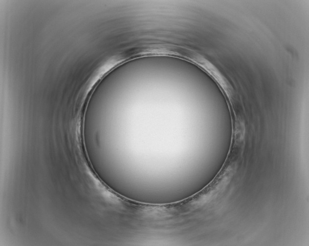 X0000111850909200907301108