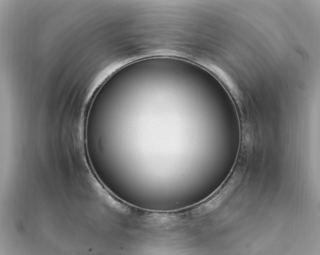 X0000111850910200907301108