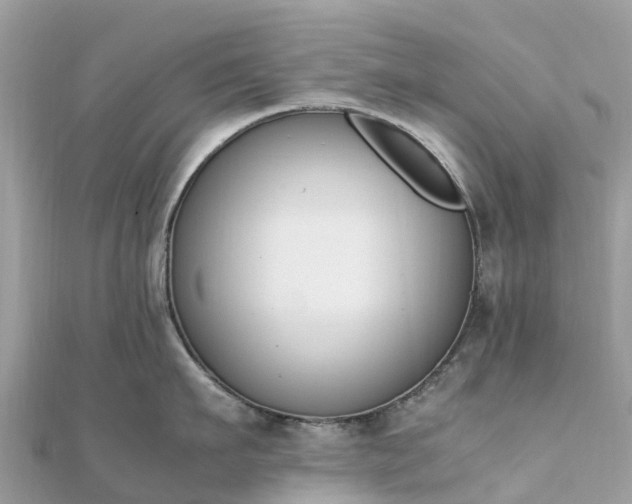 X0000111850911200907301108