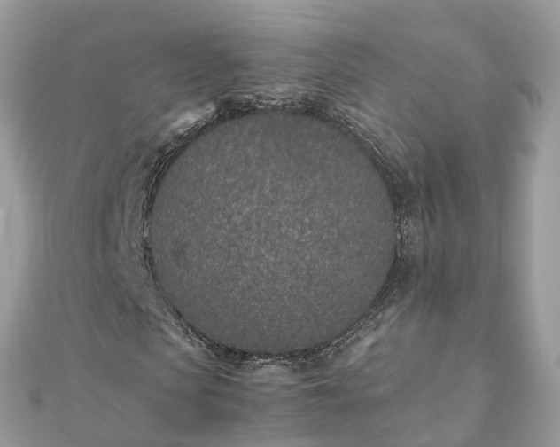 X0000111850913200907301107
