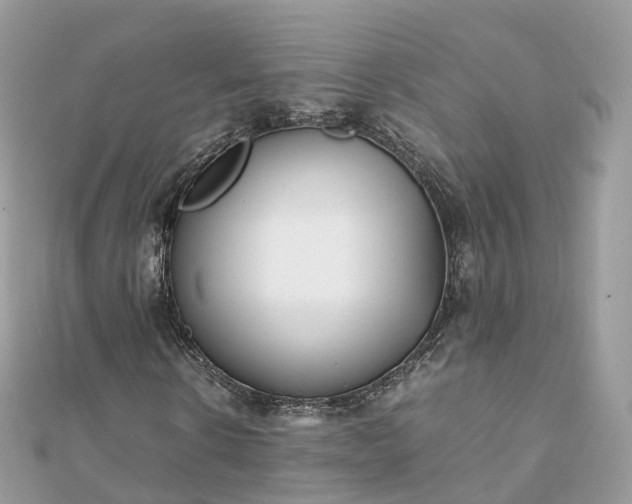 X0000111850914200907301107