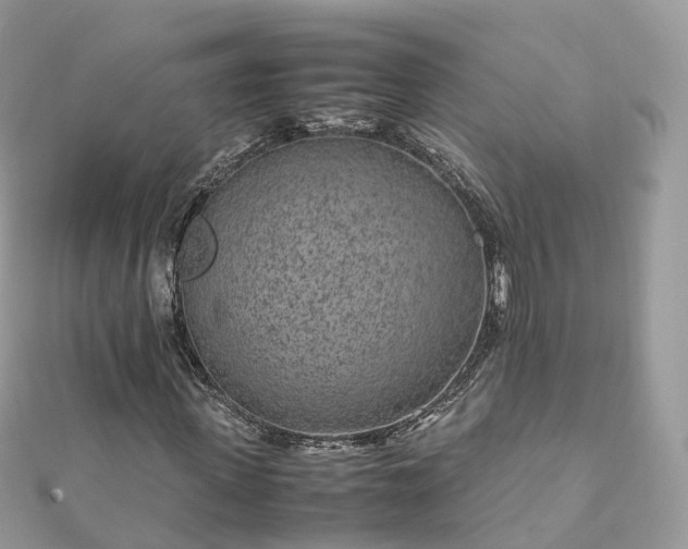 X0000111850915200907301107