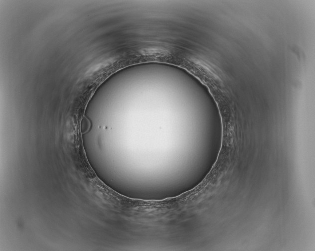 X0000111850917200907301107