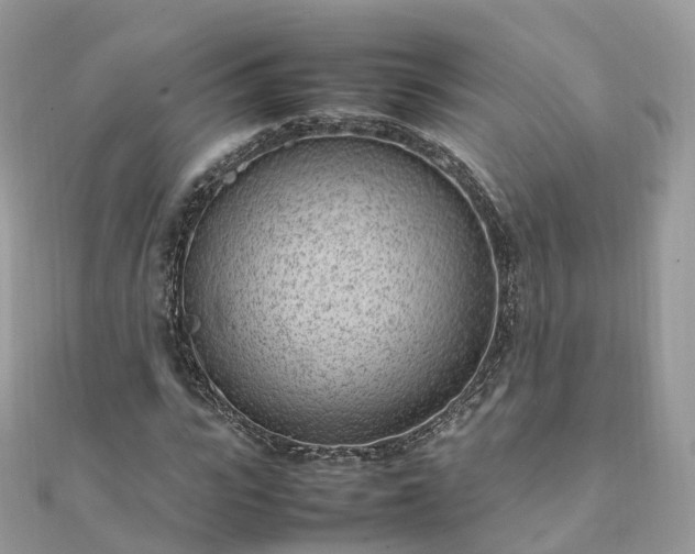 X0000111850919200907301107