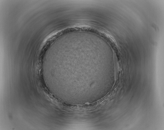 X0000111850920200907301107