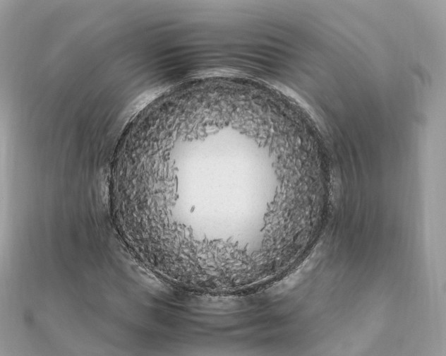 X0000111850921200907301107