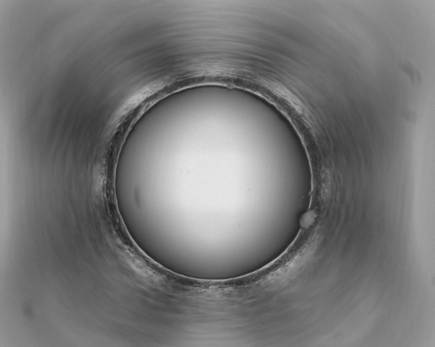 X0000111850922200907301107