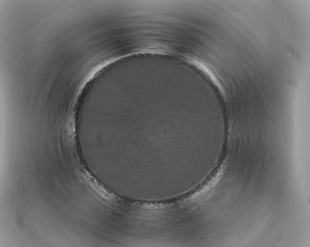 X0000111850923200907301107