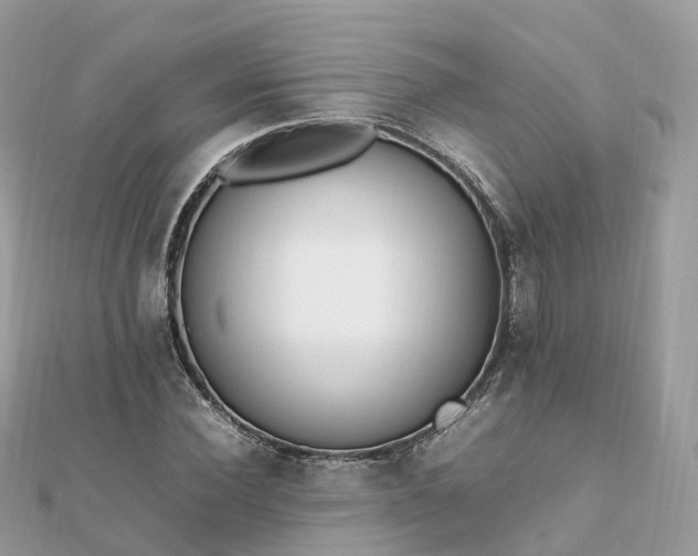 X0000111850924200907301107