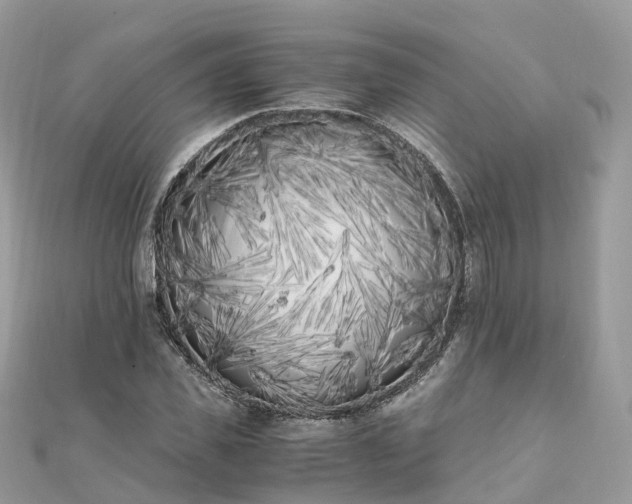 X0000111850925200907301107