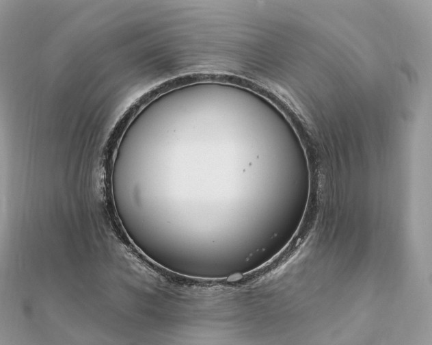 X0000111850926200907301107
