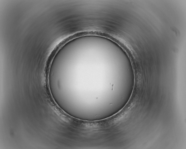 X0000111850927200907301107