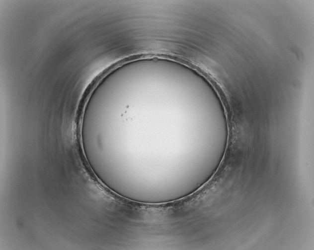 X0000111850928200907301107