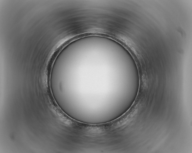 X0000111850931200907301107