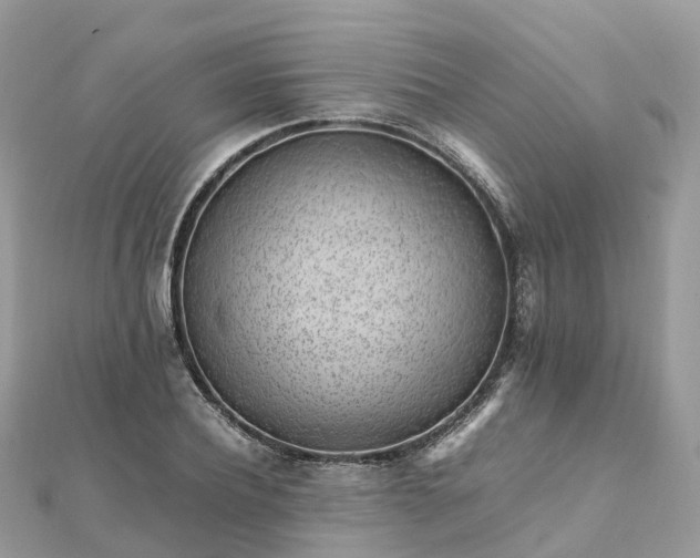 X0000111850932200907301107
