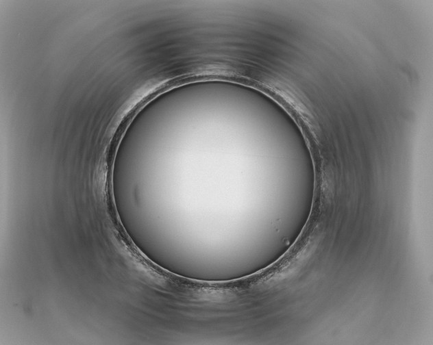 X0000111850933200907301107
