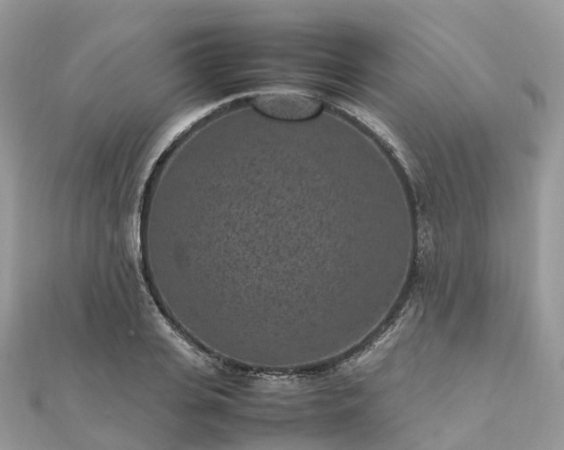 X0000111850935200907301107