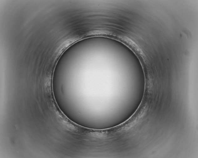 X0000111850937200907301108
