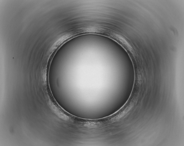 X0000111850938200907301108