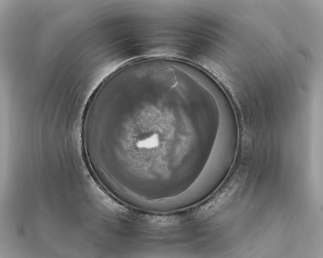 X0000111850941200907301108
