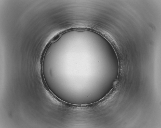 X0000111850942200907301108