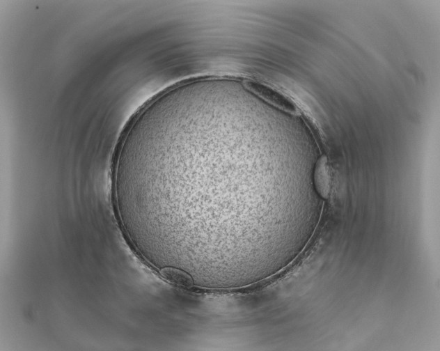 X0000111850944200907301108
