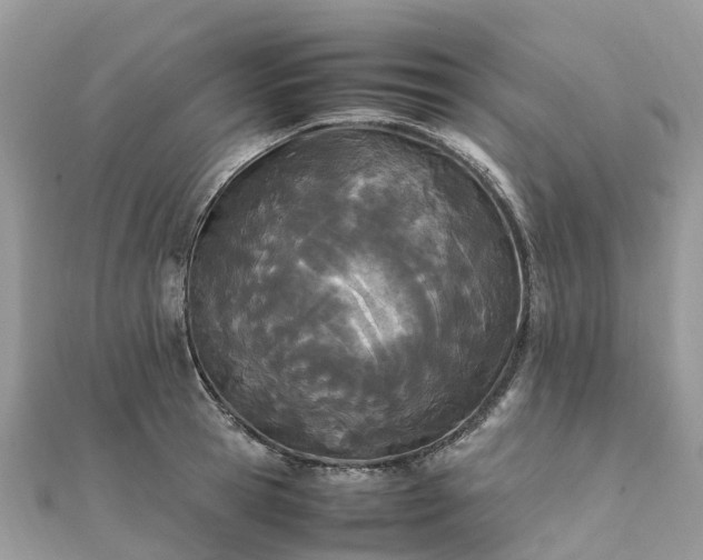 X0000111850945200907301108